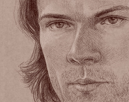 amisplacedlonelyheartsad:Here’s my portrait of Sam’s hair Sam...