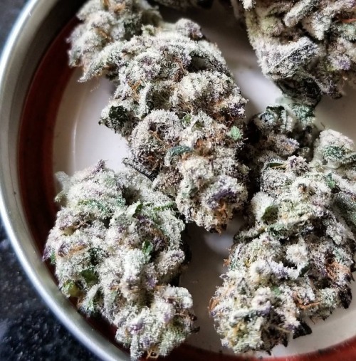 weedstreetwear:Gelato Cake ❄