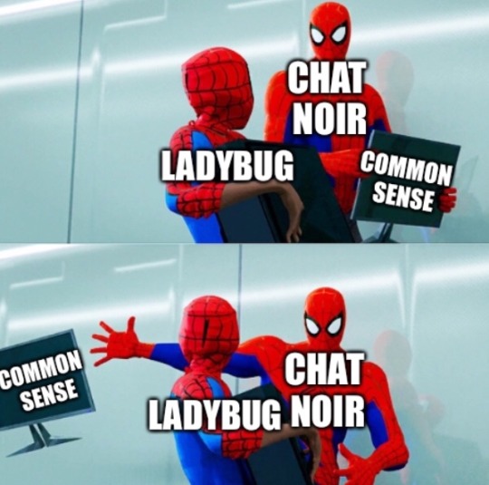 Miraculous Tales Of Ladybug And Cat Noir Memes