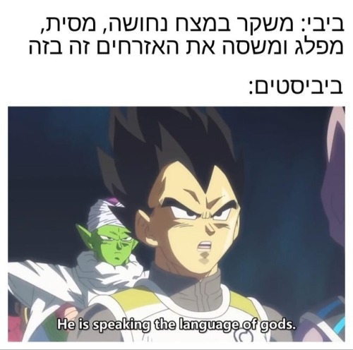 baal-zvuv