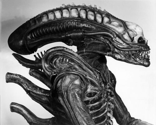 mirkokosmos:Original Xenomorph Suit w/o Dome - by H.R. Giger,...