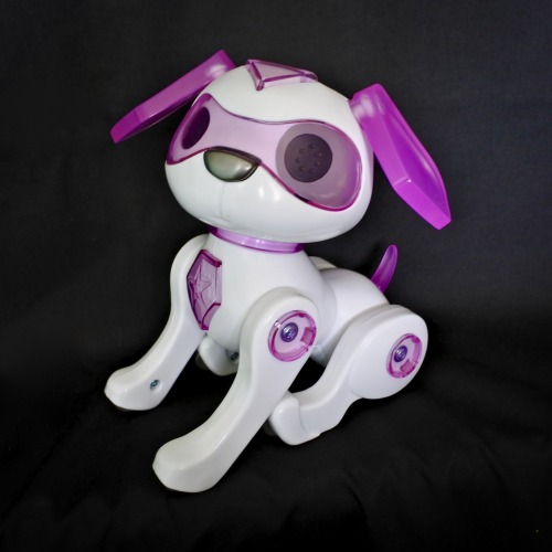 luciana's robotic dog