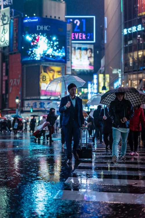 michaelmuecke:Rain time = reflection time. :)