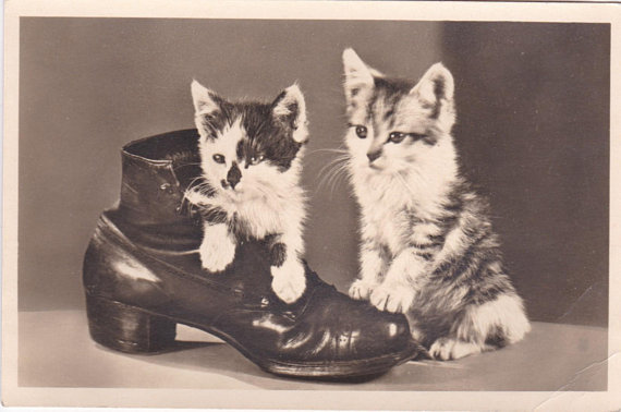 Two kittens and a shoe - vintage German postcard (1950s)
Buy: http://etsy.me/2FAW7ze