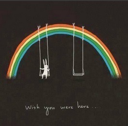 Pink Floyd Lyrics Tumblr