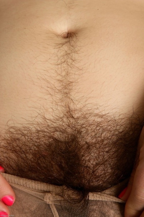 hairycommunity:Treasure trailI happen to think that trail...