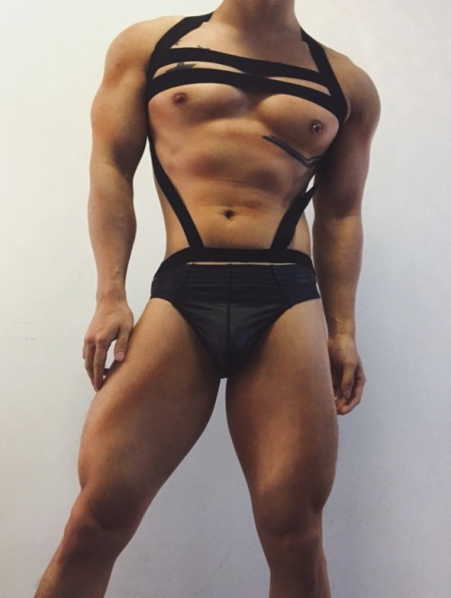 privateoli:Harness made by oli