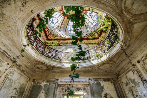 abandonedandurbex:Vines creeping in through an old skylight in...