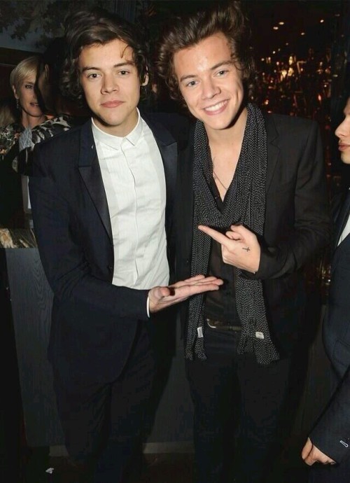 harry twins on Tumblr