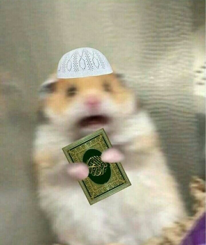 moonchild — hamza the hamster wishes you a blessed ramadan