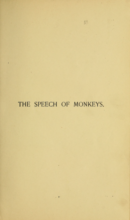 nemfrog:The speech of monkeys. Source. 