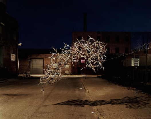 Brainpaint U2022 Emergent Behavior An Explosive Photo Series