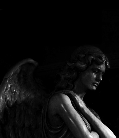 angel statue on Tumblr
