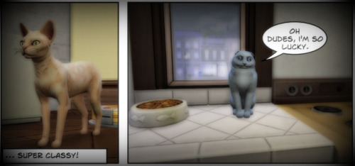 anakel13ts4stuff