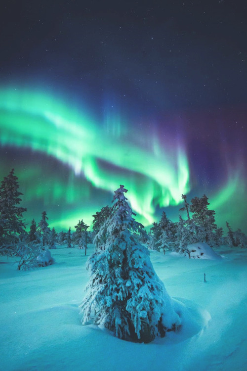 lsleofskye:Lapland (Finland) | seffis