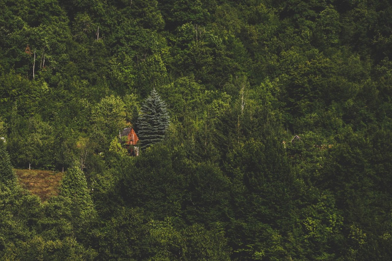 1280px x 853px - Cabin Porn â€” Cabin in the Dinaric Mountains, Bosnia &...