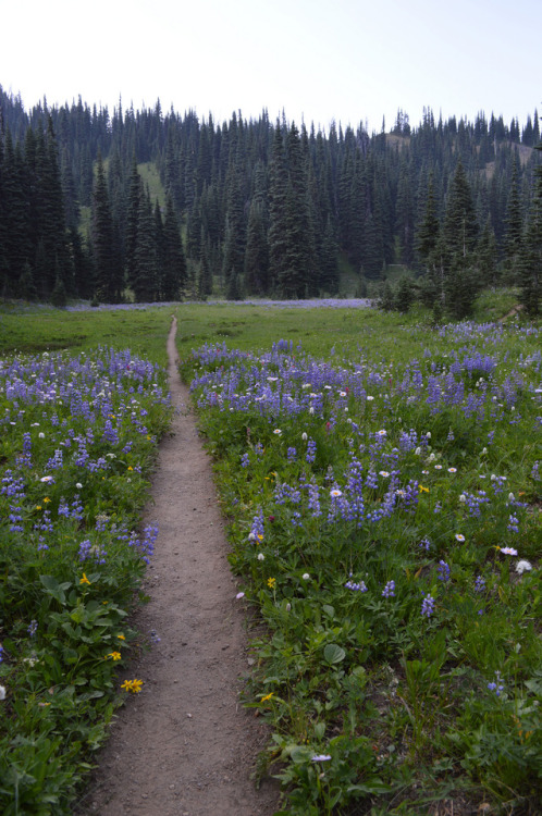 90377:Hiking Past Clover by Mark Knoke