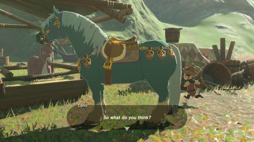 BOTW Horse Taming & Customization- Updated! : ( ͡° ᴥ ͡°)