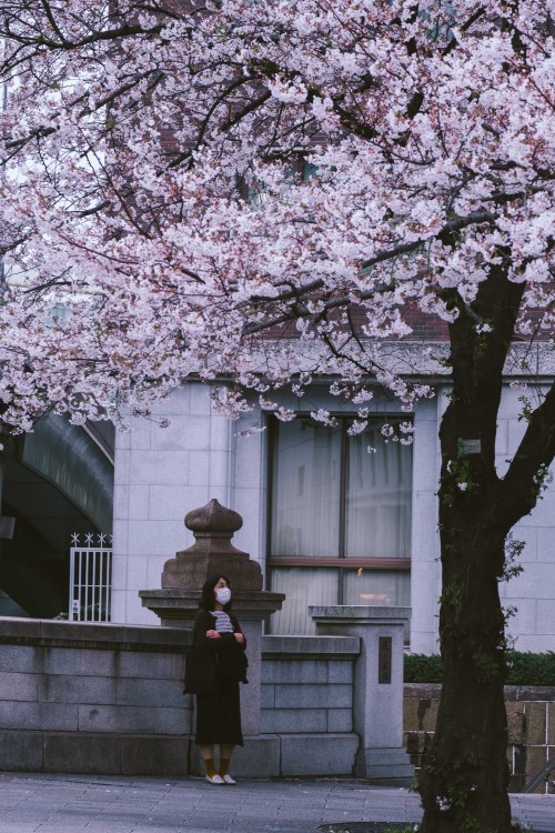 sleeplessintokyo87