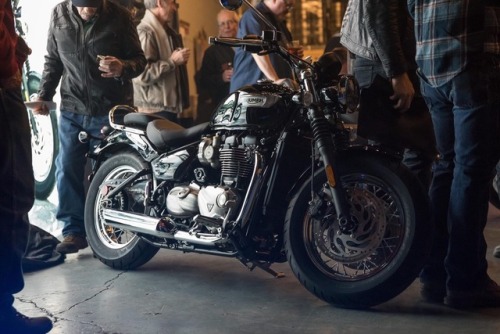 Triumph Speedmaster Tumblr