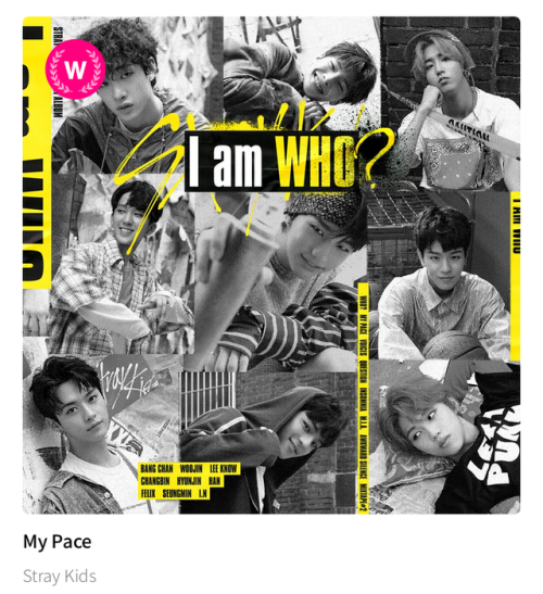 straykidsvideo:Congratulations!!! Stray Kids made it!! Thank...