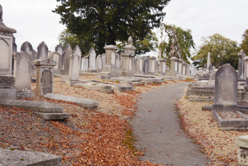 glorianas:mount jermone cemetery, dublin, ireland, october...