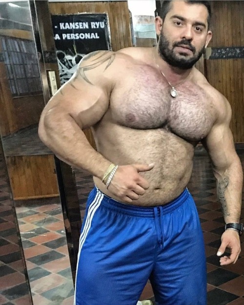 myfavoritemusclemen:Jorge Denzel