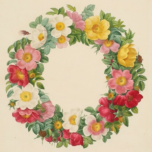 wreaths on Tumblr