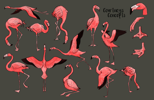 Flamingo Reference Tumblr - flamingo croquet roblox. flamingo croquet roblo...