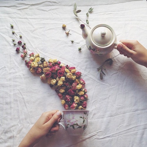 mymodernmet:Toppled Teacups Overflow with Dried Leaves and...