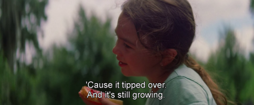 freshmoviequotes:The Florida Project (2017)