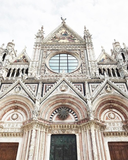 everything-thing:Siena, Italy |Carin Olsson