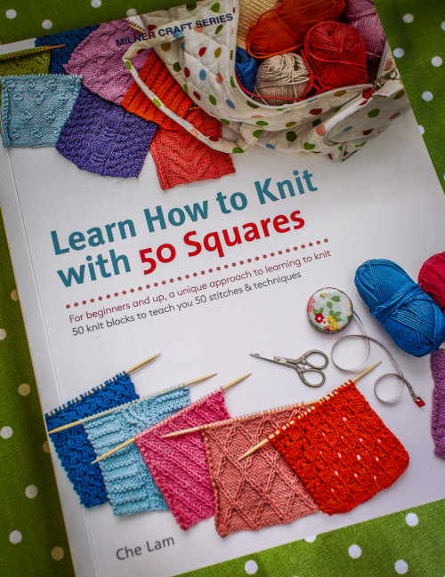 Handy Kitty • Learn How to Knit with 50 Squares For Beginners...