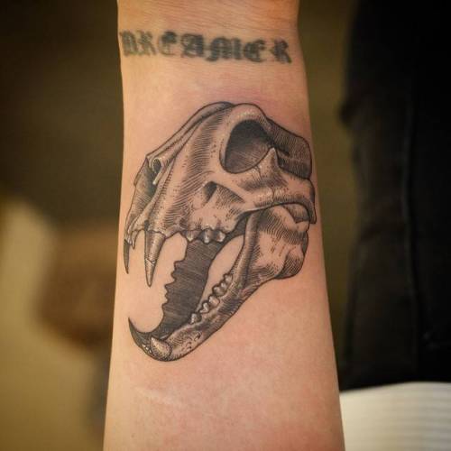 By Sol Tattoo, done in Seoul. http://ttoo.co/p/25300 tiger;skull;feline;anatomy;animal;tiger skull;facebook;twitter;engraving;inner forearm;soltattoo;medium size