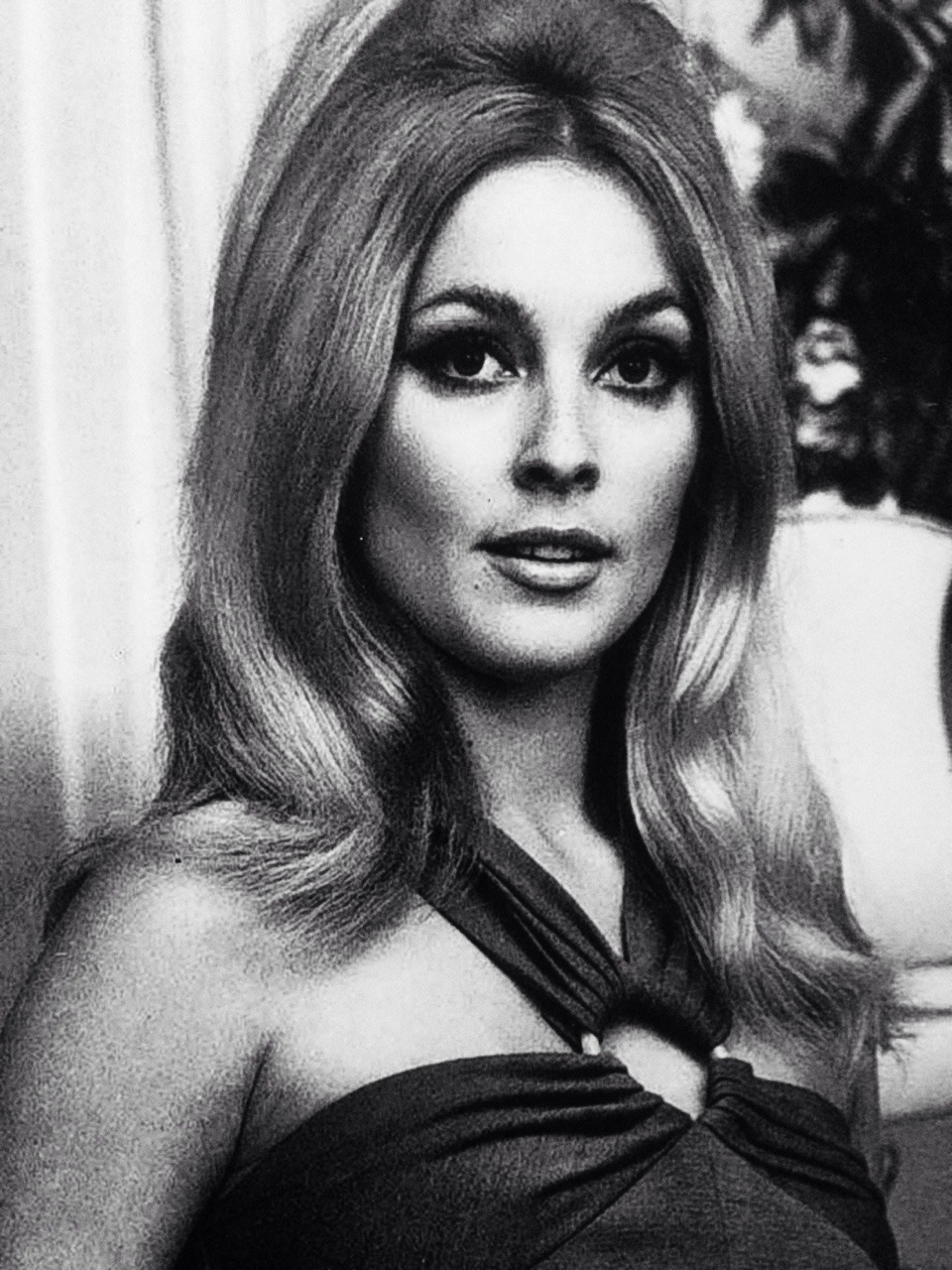 Sharon Tate Fanblog 