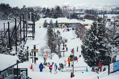 takashiyasui:Asahiyama Zoo, Hokkaido