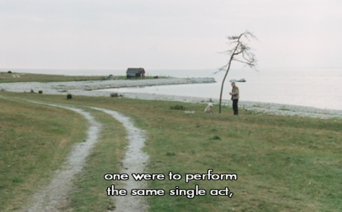 exhaustedscreen:The Sacrifice (Andrei Tarkovsky, 1986).