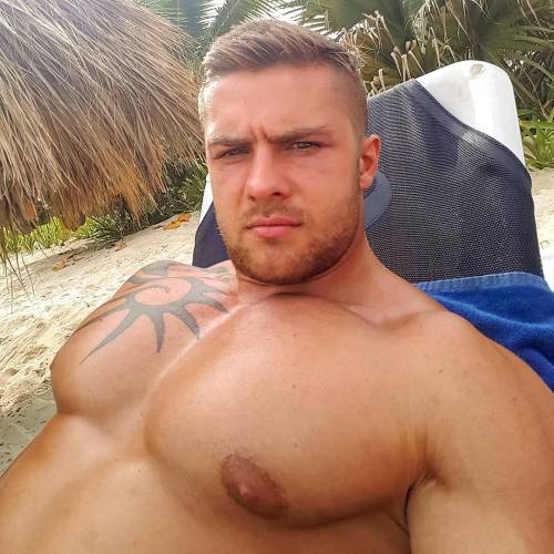 Male Bodybuilder Gay 35