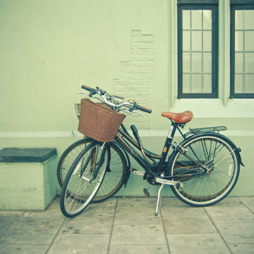 bicycle art on Tumblr