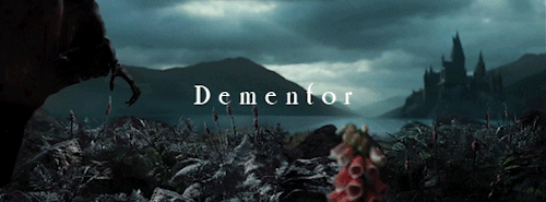 harry potter hpedit harrypottergif prisoner of azkaban crookshanks dementor buckbeak gif warning mine* cr* poa