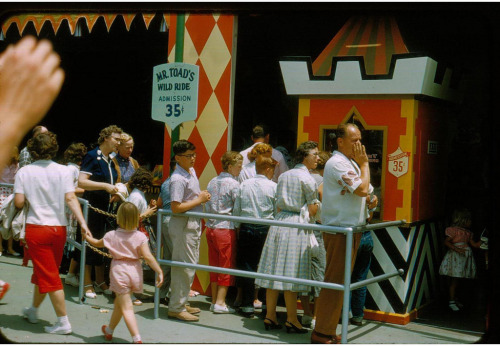 actuallyhearthefishtalk:Mr. Toad’s Wild Ride line and ticket...