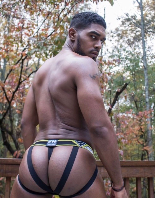 Gay Pornstar Ass - Male pornstars with the best asses | JustUsBoys The World's Largest Gay  Message Board