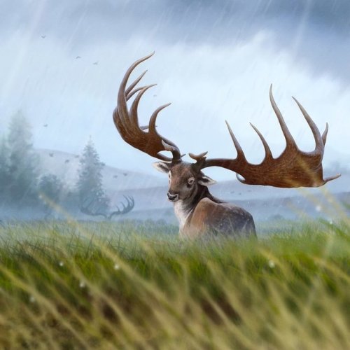 irish elk prehistoric kingdom