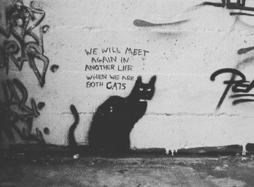 danskjavlarna:The principles in How to Be Your Own Cat can...