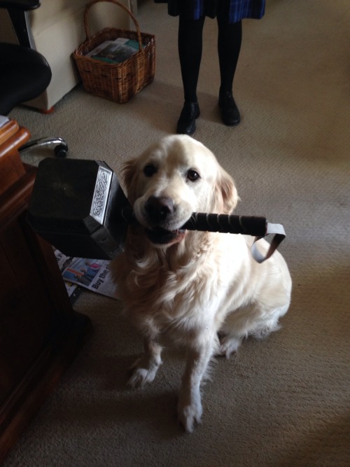 rosebadwolf-tyler:dduane:thyartisdisney:LABRATHOR“Worthy....