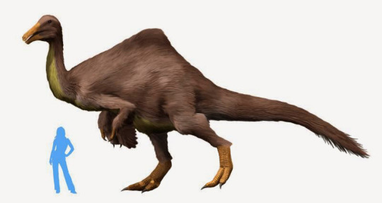 types of dinosaurs with weird heads