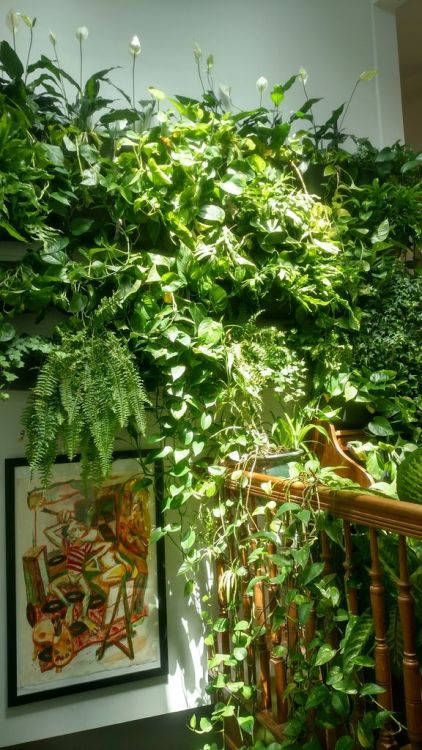 solarpunk-aesthetic:How to Build a Jungle WallA wall mounted...