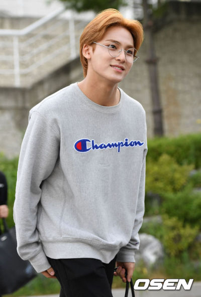 Champion sweatshirt tumblr on sale