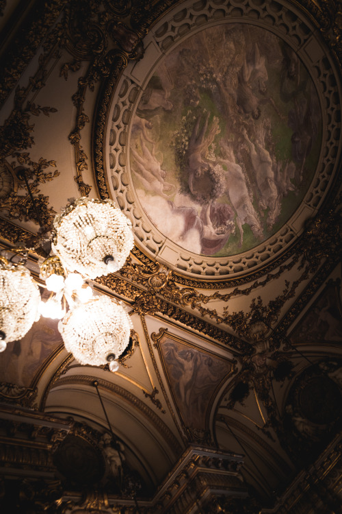 frederick-ardley :Grand Ceiling, ParisPhotographed by...