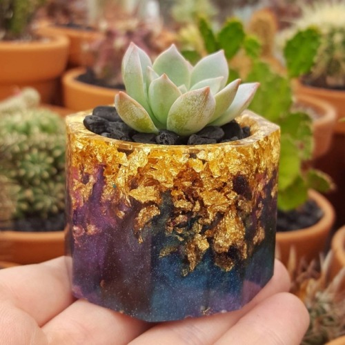 sosuperawesome:Resin and Gold Flake PlantersChelsea O Hara on...